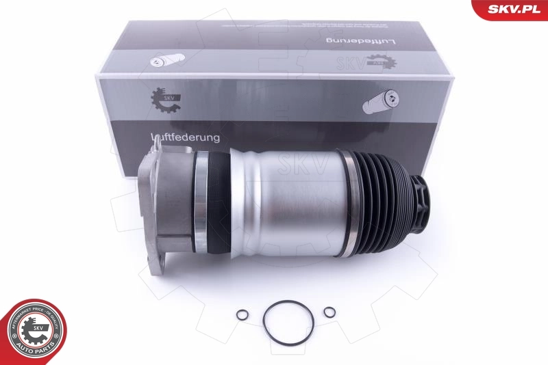 Air Spring, suspension